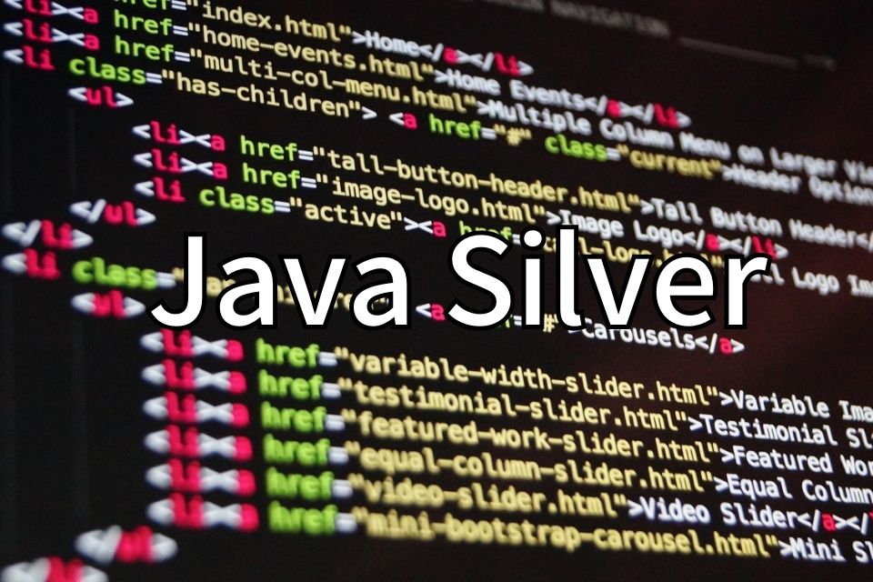 Java Silver 資格